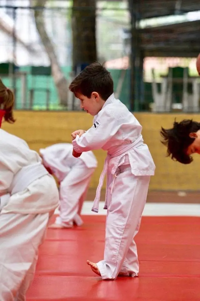 Por que o judô foi considerado pela Unesco como o melhor esporte para