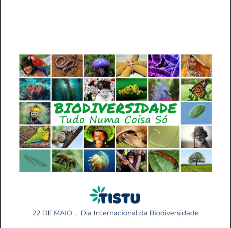 Crianças trabalham a biodiversidade em pesquisas, músicas, campanhas e vídeos